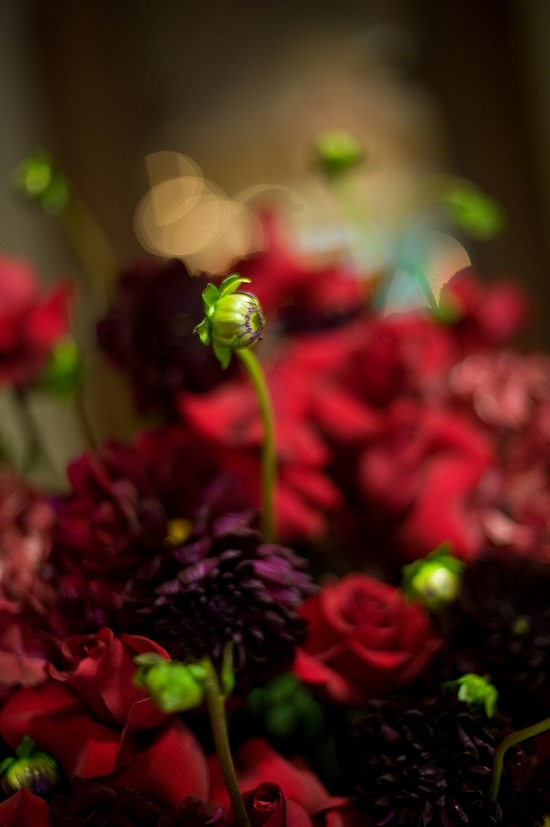 photo of CherieFoto