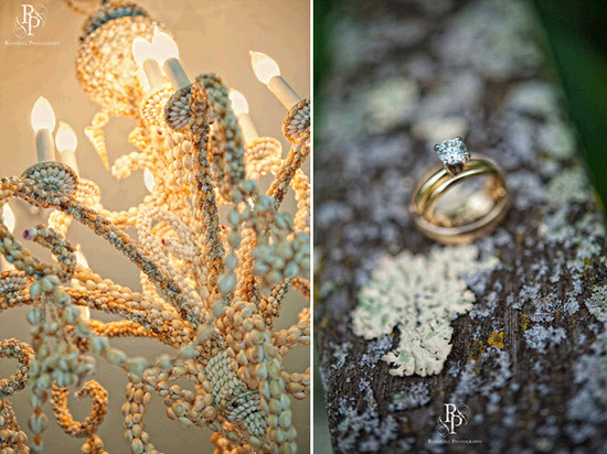 photo of Rothwell Photography
