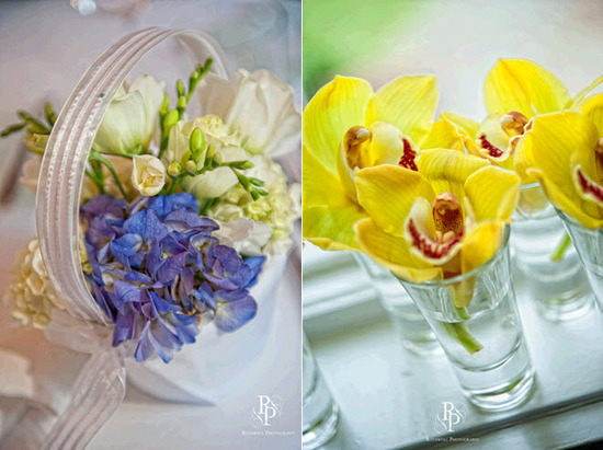 photo of Rothwell Photography