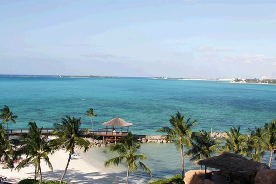 photo of Plan The Perfect Destination Wedding Rehearsal Dinner: Hawaiian Paradise With Party City!
