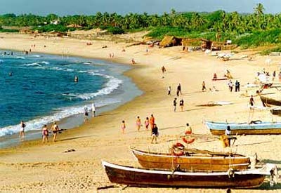 photo of Group Tours, A Good Idea for Your Honeymoon?