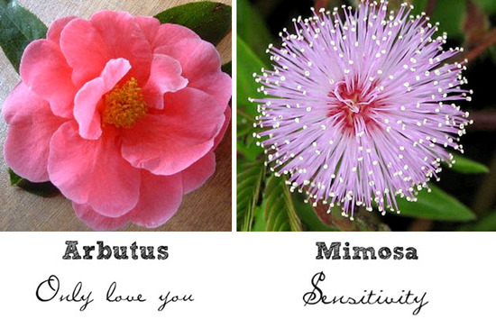 photo of Wedding Flower Friday: The Symbolism Behind Different Types Of Wedding Flowers
