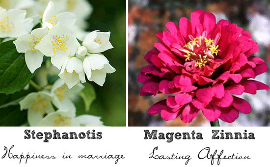 photo of Wedding Flower Friday: The Symbolism Behind Different Types Of Wedding Flowers