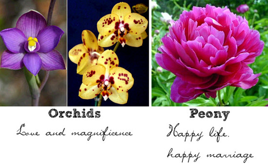 photo of Wedding Flower Friday: The Symbolism Behind Different Types Of Wedding Flowers