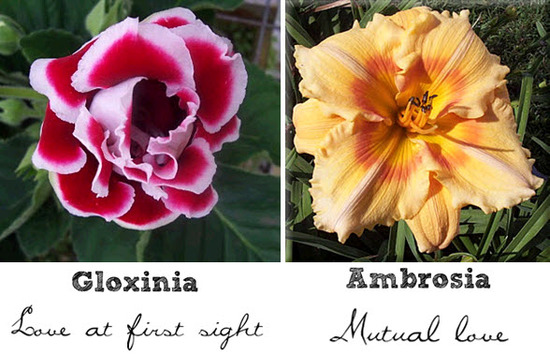 photo of Wedding Flower Friday: The Symbolism Behind Different Types Of Wedding Flowers