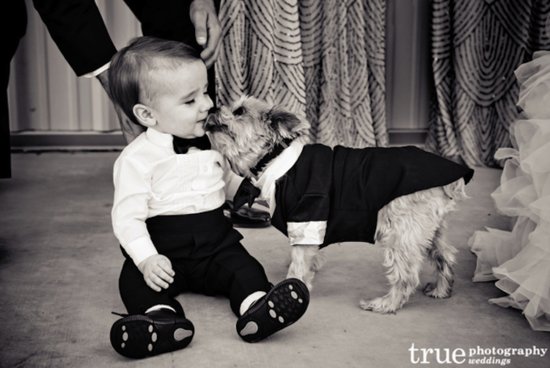 photo of Darling and Innovative Ways to Include Your Pup in Your Wedding Day