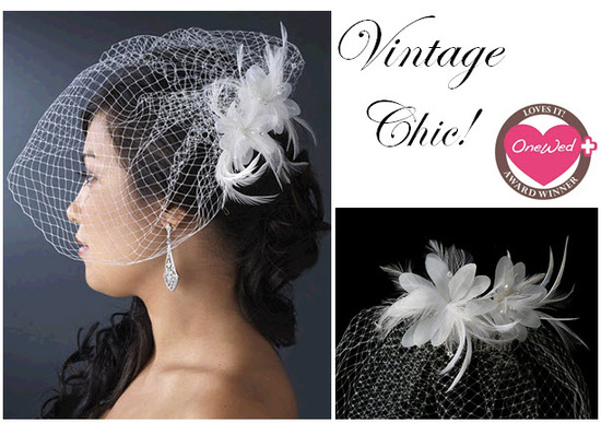 photo of Savvy Steals Winner- The Vintage-Chic Birdcage Veil Goes To...