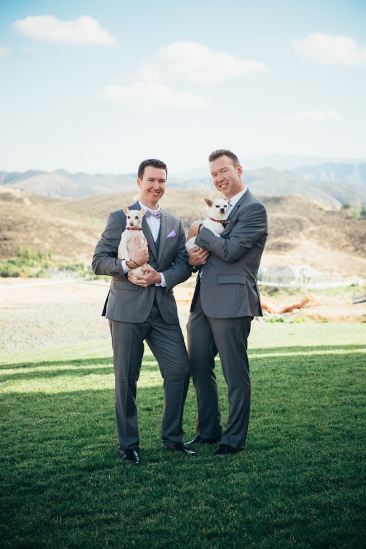 Puppies_puppies_puppies.full