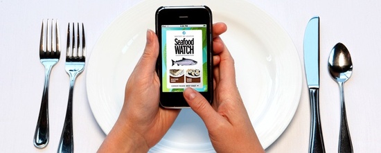 photo of Sustainable Wedding Menu? There’s an App for That!
