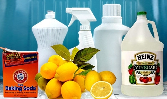 Eco-friendly-green-home-cleaning-supplies.full