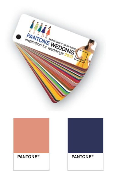 Dessy-pantone-color-guide-2010.full
