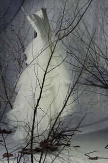 Winter-wedding-fairytale-strapless-romantic-wedding-dress.full