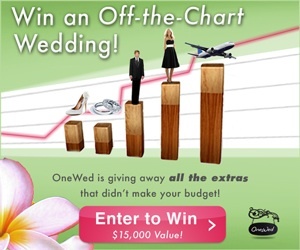 This bar chart represents the amount of your budget each item usually is allotted.