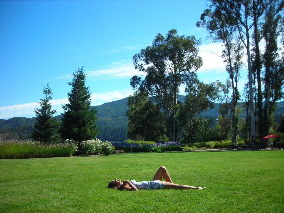 Napa-ca-perfect-for-your-engagement-celebration-bachelorette-party-and-so-much-more.full