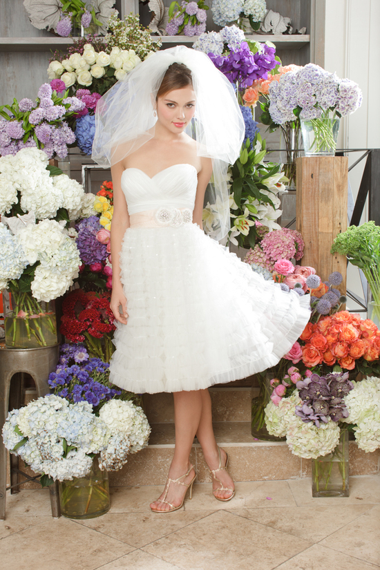 photo of 16780-Kyra