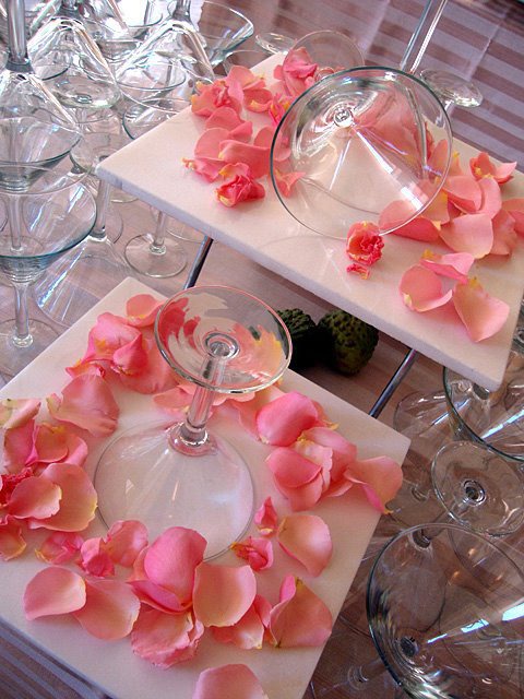Details rose petals