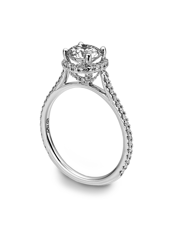 photo of 663 Ring