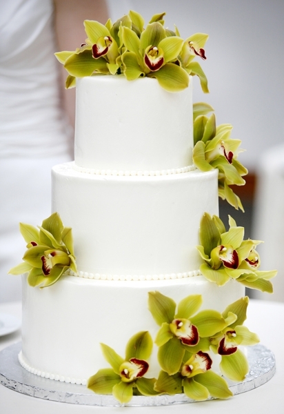 photo of Simple Green Orchids