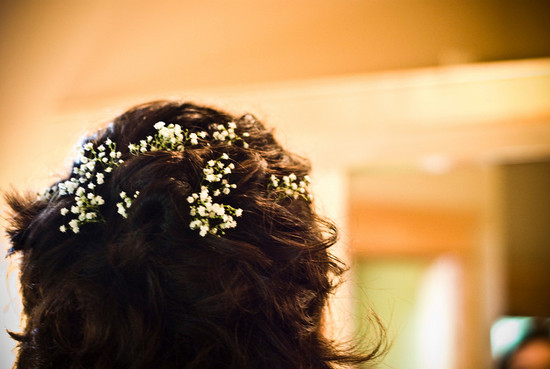photo of Flowers in Back