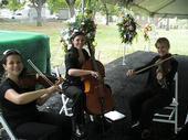 photo of New Orleans Finest Musicians