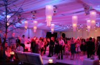 photo of Diamond Productions Disc Jockey & Karaoke Services