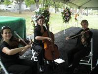 photo of New Orleans' Finest Musicians