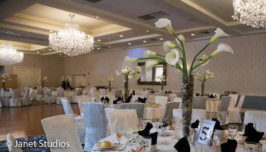 photo of Crystal Ballroom at the Radisson Freehold