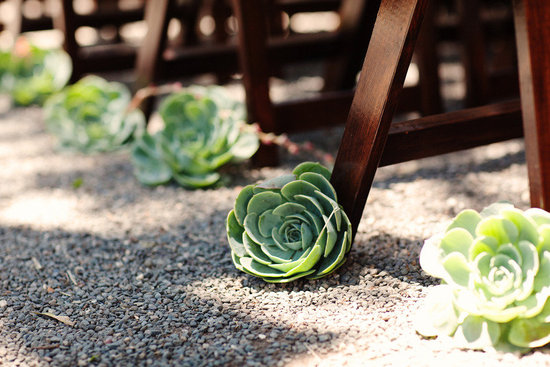 photo of Kate Harrison Photography