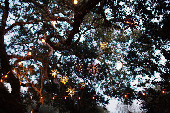 photo of Kate Harrison Photography