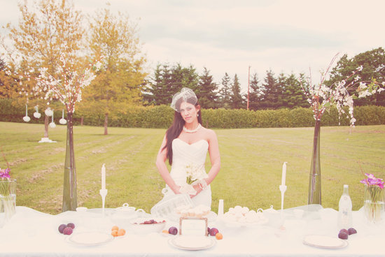 photo of Dot bridal veil by Elizabeth Perry
