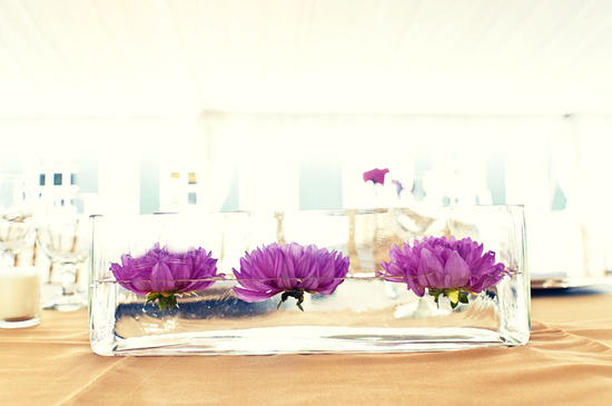 photo of Inspiring Wedding Photos (03.23.2012)