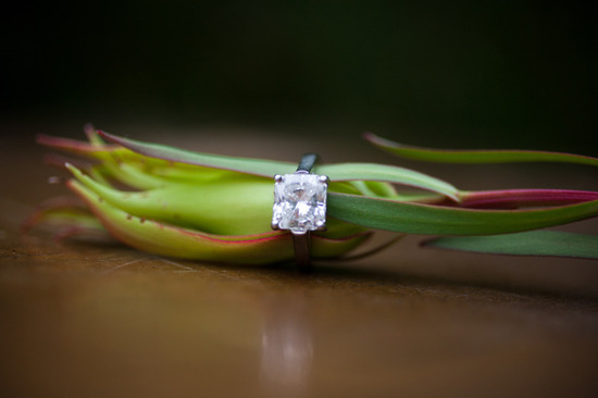 photo of Lauren Ross Photography