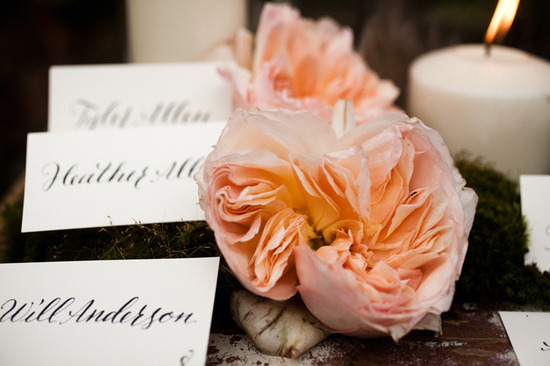 photo of Lauren Ross Photography