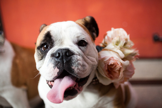 photo of Lauren Ross Photography