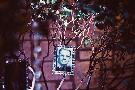 photo of One Tree Photography