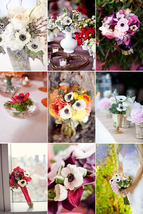 photo of Carla Ten Eyck Photography