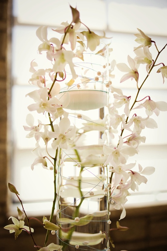 photo of One Tree Photography