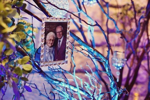 photo of One Tree Photography