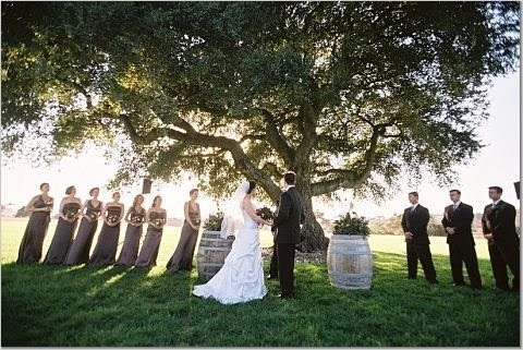 photo of wedding under tree from jose villa