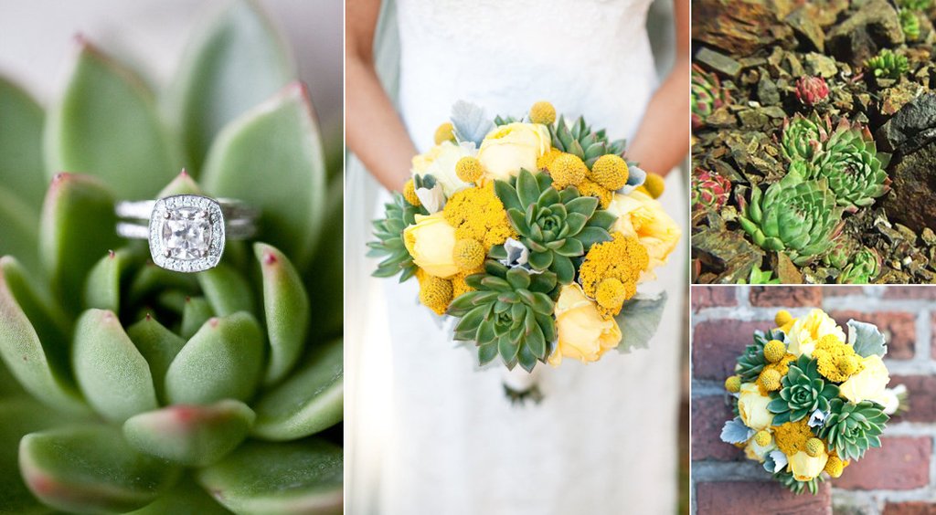 Types-of-succulent-wedding-flowers-eco-friendly-wedding-ideas.full