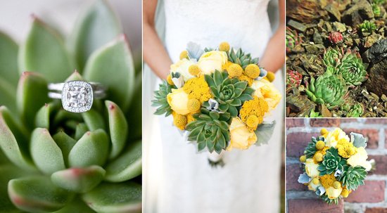 photo of We Heart Succulents for Your Wedding Day
