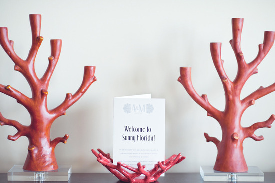 photo of Paper Antler