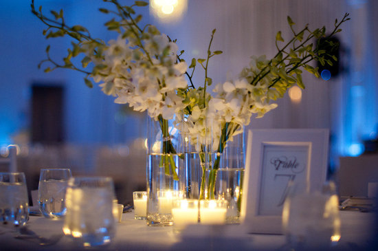 photo of simple wedding reception centerpieces ivory flowers blue lighting