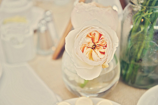 vintage wedding style simple reception centerpieces peach