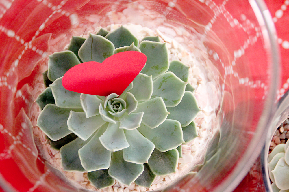 Diy-wedding-flower-centerpieces-succulents-eco-friendly.full