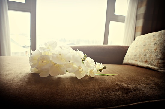 photo of Anastasia Photography