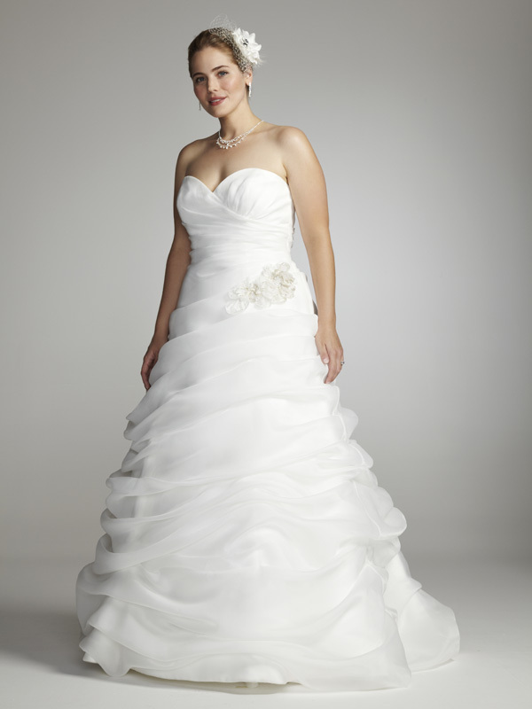 F10_9swg339_softwhite_front.full