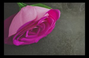 photo of Wedding DIY: Whimsical Giant Rose Paper Flower Bouquet
