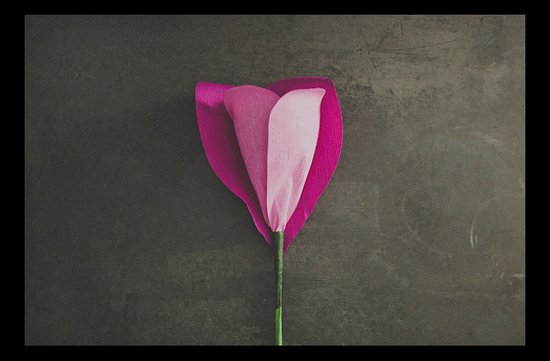 photo of Wedding DIY: Whimsical Giant Rose Paper Flower Bouquet