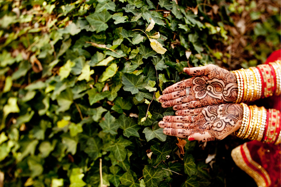 photo of Multicultural Ornate Indian Wedding